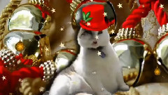 Jingle Bell Rock Sir Snowy Style