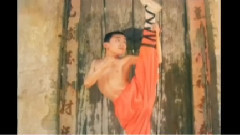 王宝强 - 王宝强少林寺习武照曝光