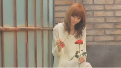 Play ur Love&Shampoo& Flashback& First Love