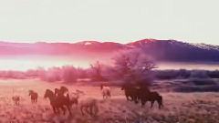 Thank You (Jerome Tropical Edit)