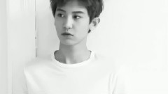 德国写真DVD 灿烈Cut