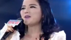 民乐群星 - 鸿雁