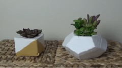 DIY Concrete Planters