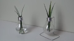 DIY Lightbulb Vase灯泡花瓶