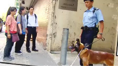 钟嘉欣 - 你懂我