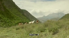 86版西游记粤语主题曲