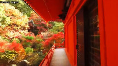 いつも何度でも