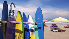 巴厘,印度尼西亚(上) - Bali,Indonesia