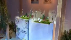 Swarovski 2013 Chun Xia Event In Taiwan