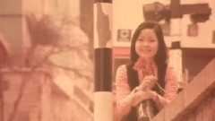 邓丽君 - 香港之夜