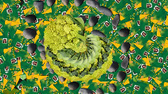 Des Formes Et Des Couleurs