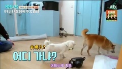 B.I(iKON) - 玛丽与我 EP10 - B.I cut