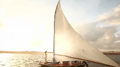 QUEM TA SOLTEIRO VIVE MENOS