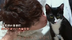 金振焕(iKON),iKON - 玛丽与我 振焕cut