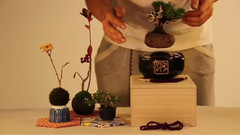 The Story Behind The Creation Of Air Bonsai
