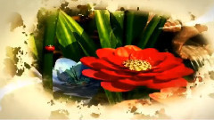 轻音乐 - Beautiful