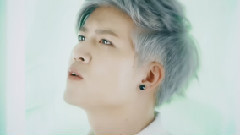 BOP天堂鸟 - BOP-HOLIC