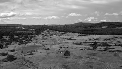 Reba McEntire - Just Like Them Horses