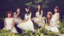 Apink - Apink - Brand New Days