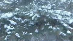 孙悦 - <东北一家人>片尾曲