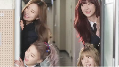 Bloomy - 因为是你