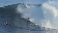 PIERRE'S YELLOW BIRD EXPRESS