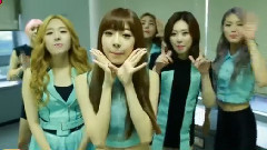 SONAMOO Beagle Beagle Back Stage