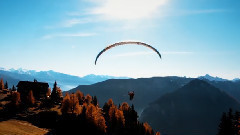 Hasta La Vista Austria