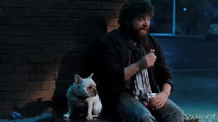 电影<临盆急先疯>预告片1