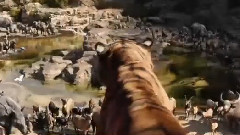 <森林王子>超级碗电视宣传片