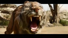 电影<森林王子>中文版预告片2