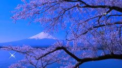 Blue... The Color Of Dreams