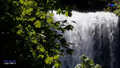 Omar Akram - Angel Of Hope