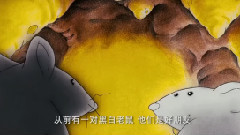 黑白鼠的一段童话岁月