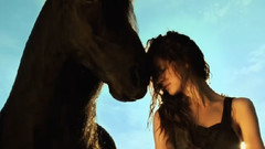 Amazing Galloping Horses