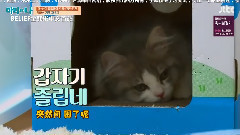 B.I(iKON) - 玛丽与我 EP12 B.I Cut