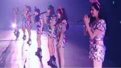 再次重逢的世界