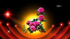 Pink... The Color Of Love