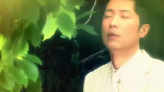 王欢 - 花的坚强