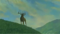 The Last Shadow (Acidmoon Remix)