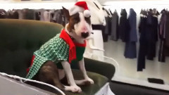 LOVE Advent Day 15 -Neville