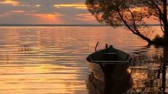 Отшептали отмечтали