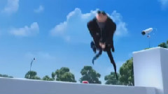 电影<神偷奶爸>电视宣传片6