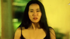 爱在那岁月的日子