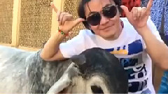 王宝强 - 周星驰还是曹格?王宝强一戴墨镜就变脸