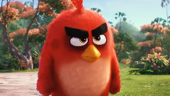 电影<愤怒的小鸟> 先行版预告片