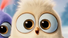 <愤怒的小鸟>大电影 中文版预告片2