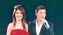 刘德华,陈慧琳 - 我不够爱你 现场版