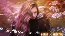 birdy - 穿透力十足的清澈動人嗓音BIRDY