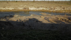 Balmorhea - Masollan